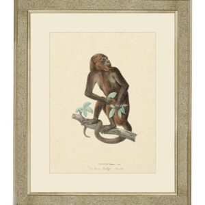 Tavla "Primordial monkey" – Grevinnans Butik & Inredning