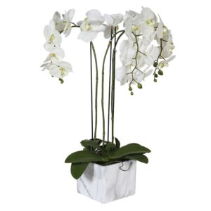 Växt "Orchid White Ferrari" – Grevinnans Butik & Inredning